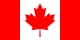 CAD flag
